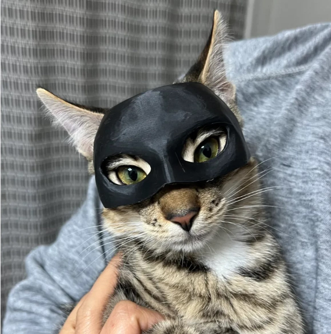 CATWOMAN MASK