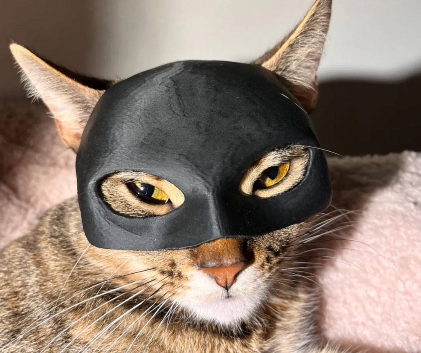 CATWOMAN MASK