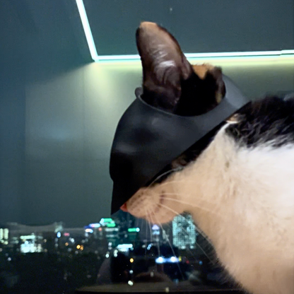 BATCAT MASK™