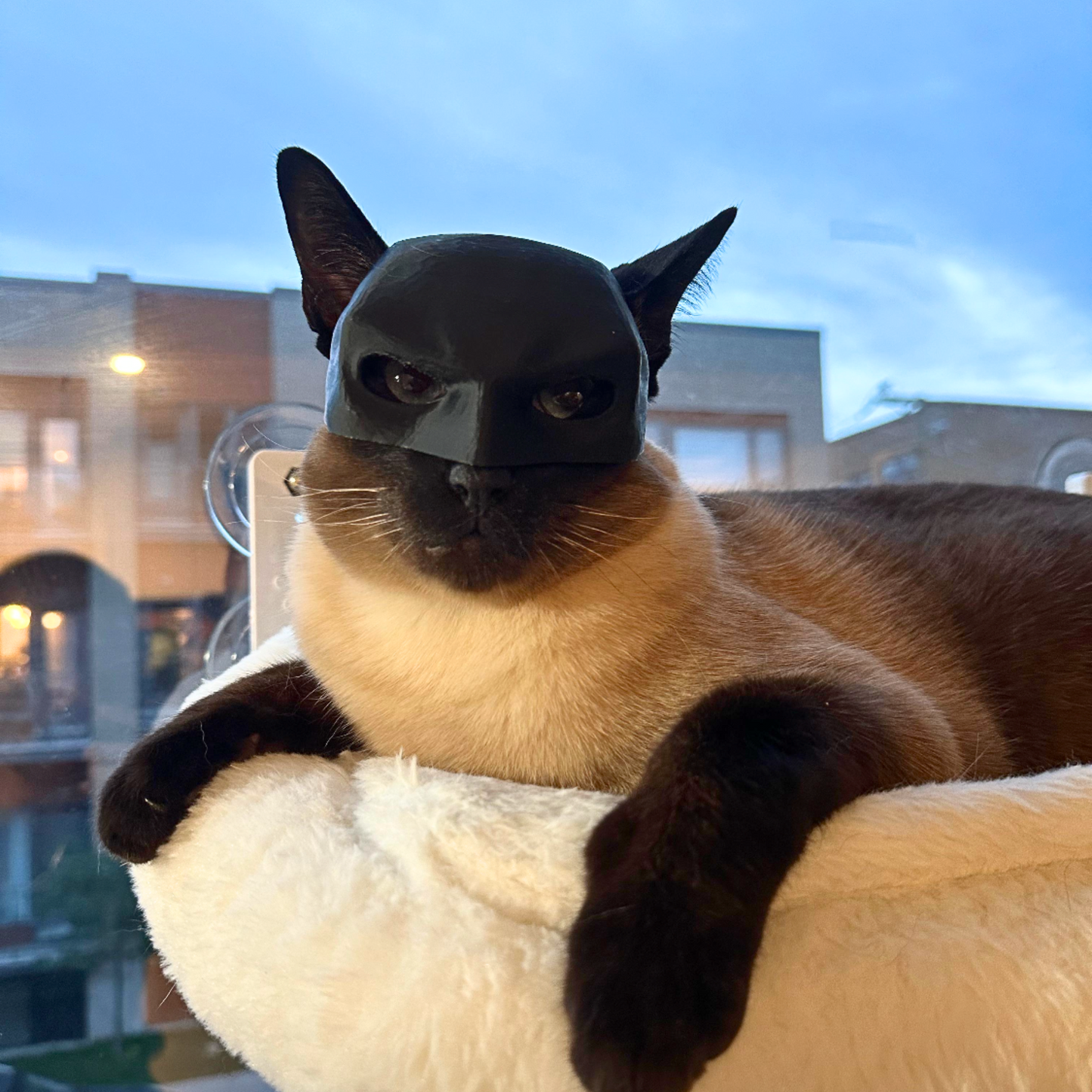 BATCAT MASK™