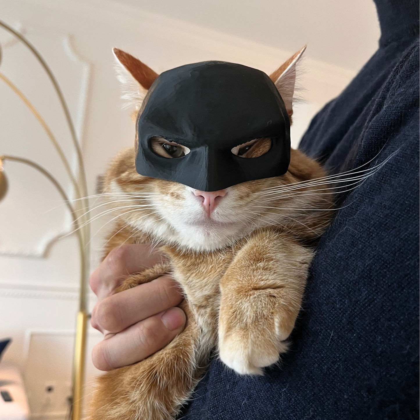 BATCAT MASK™