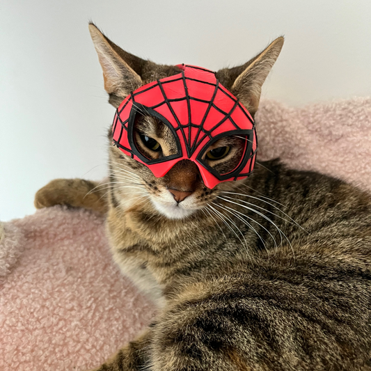 SPIDER CAT MASK™